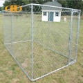 Galvanized Chain Link Dog Kennels com telhado