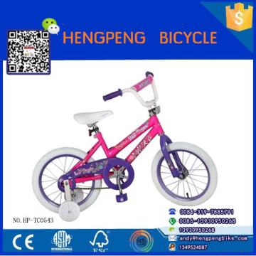 Baby Stroller Bicycle Trailer