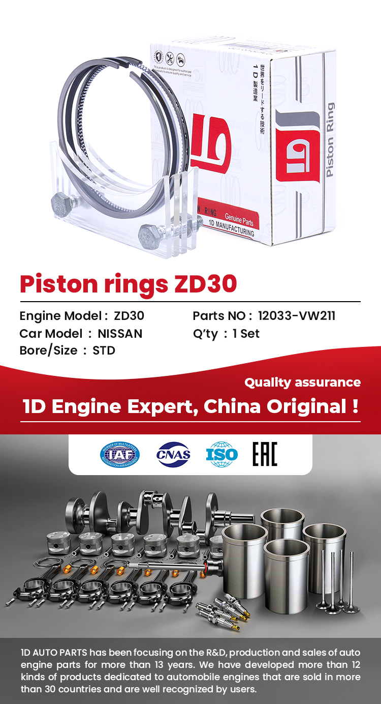 Engine ZD30 Piston Ring Set
