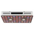 1000W Cob Grow Light Phlizon