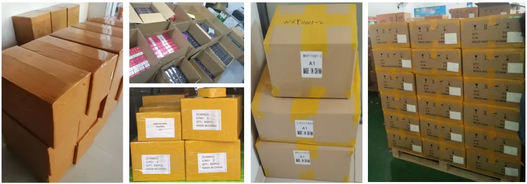 Shenzhen E Cigarette OEM Vape 3000 Puffs Disposable Ecig