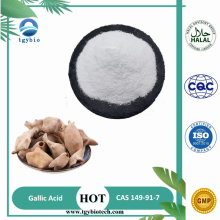 Food Grade Galla Chinensis Extract 98% Gallic Acid