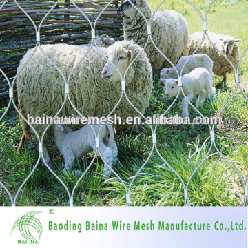 SS 304/316 Aviary Cable Mesh