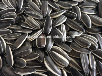 wholesale sunflower seeds chinese sunflower seeds price of sunflower seeds