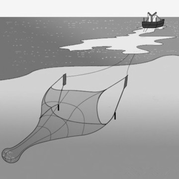 Dyneema Midwater Trawl Net