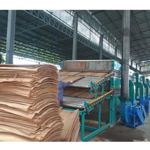 biomass continuous Drying veneer Machine