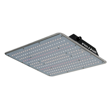 Luci progressive a led a spettro completo 100W dimmerabili