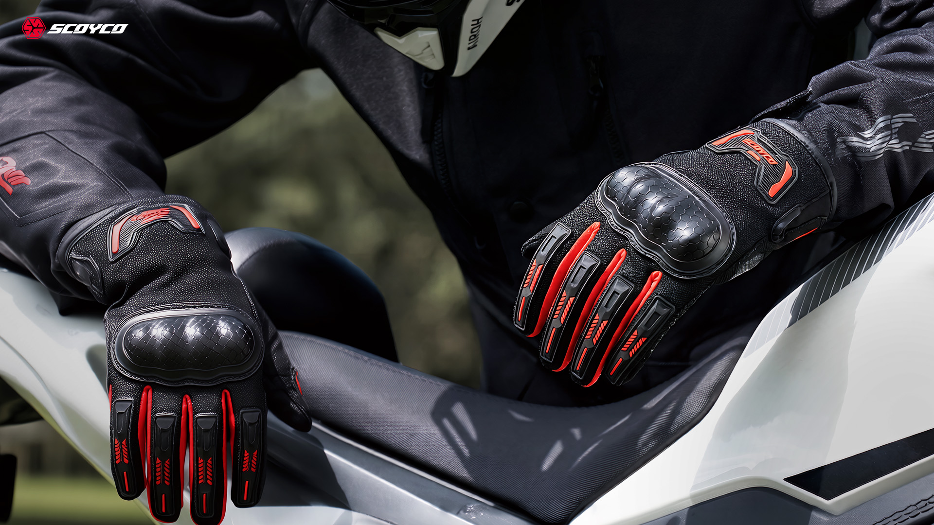 MC241_06_modelo MC241_06_model