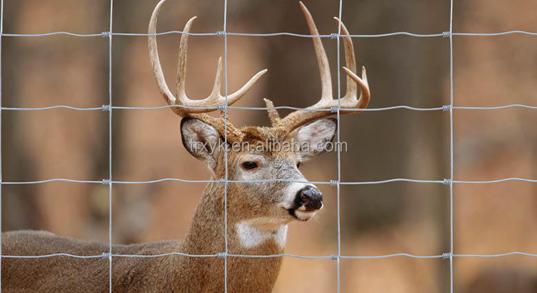 Hinge Joint Fence metal deer fence cheap price field fence