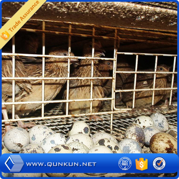 alibaba china hot sale 6 layers galvanized quail cage/quail cages for sale/quail battery cages