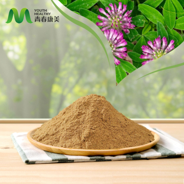 What Is Red Clover Extract Good For