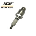 Small Engine Double Iridium Spark Plug D-B9HIX.