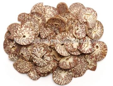 Areca catechu Areca Nut Betelnut Bing Lang Extract