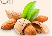 عمده فروشی 100 ٪ روغن بادام شیرین خالص ارگانیک