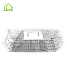 Squirrel Collapsible Steel trap Cage Trap