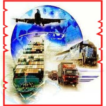 professional ocean shipping service to europe