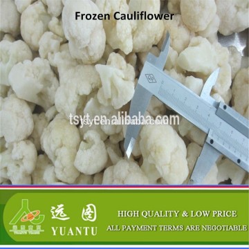 IQF Frozen Cauliflower 2015 Processed Frozen Cauliflower