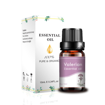 Etiqueta privada de grado terapéutico Pure 10ml Valerian Oil Valerian