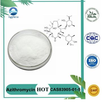 Wholesale High quality Competitive price Azithromycin powder