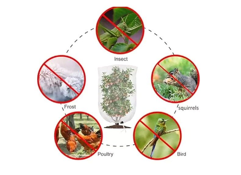 anti-inseto anti-insect