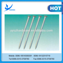 Various sizes wholesale nail supplies,spiral nails