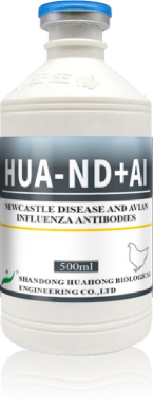 HUA-ND+AI HUA-ND+AI