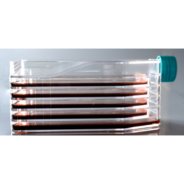 Multi-layer 5-layer Cell Culture Flask