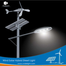 DELIGHT Decorative Pole Wind Solar Street Lighting