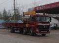 Camion de grue de construction de FOTON AUMAN 10T