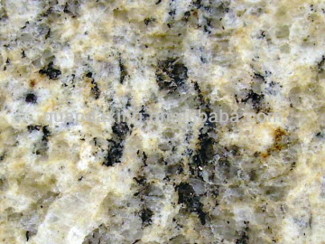 Santa Cecelia Granite Tile,Imported Granite Slabs,Countertop