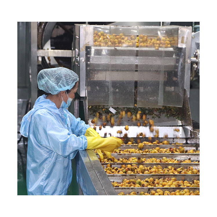 Fruit pulper machine for Fruit Processing Line