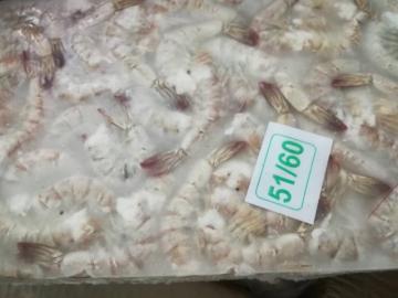 Frozen Imported White Shrimp Litopenaeus Vannamei HLSO