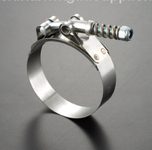 Hose Clamp T-bolt Clamp?