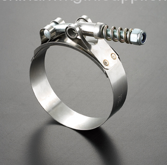 Hose Clamp T-bolt Clamp?