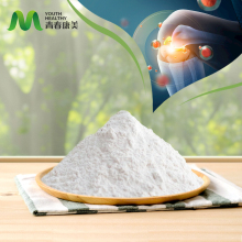 Pure Chondroitin Sulfate Powder for Medical Use