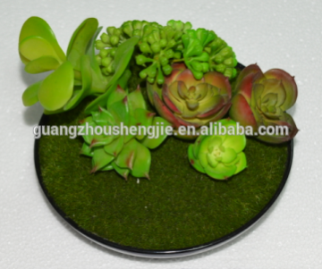 SJ3001011 Indoor mini bonsai cactus plant artificial