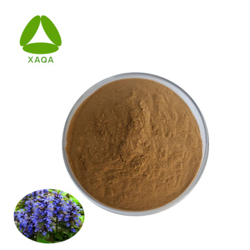 Natural Ajuga Turkestanica Extract Turkesterone 2% Powder