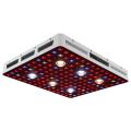 LED colturale necessario agricolo 600W