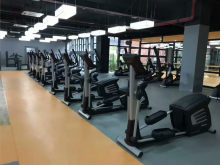 Multipurpose Indoor PVC Flooring-Professional