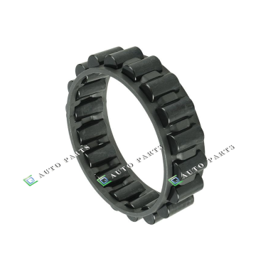Newpars AUTO PARTS: High-Quality ZF Neeld Bearing Transmission Bearing 750115531