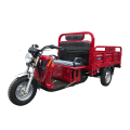 Triciclo de motor automático de combustível para transporte