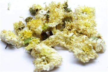 Dried Chrysanthemum Flower Tea