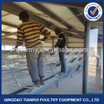 A Type chicken use galvanized automatic poultry layer farming equipment