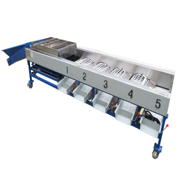 Energy Saving Automatic Fruit Sorting Machine for Citrus Fruits and Apples