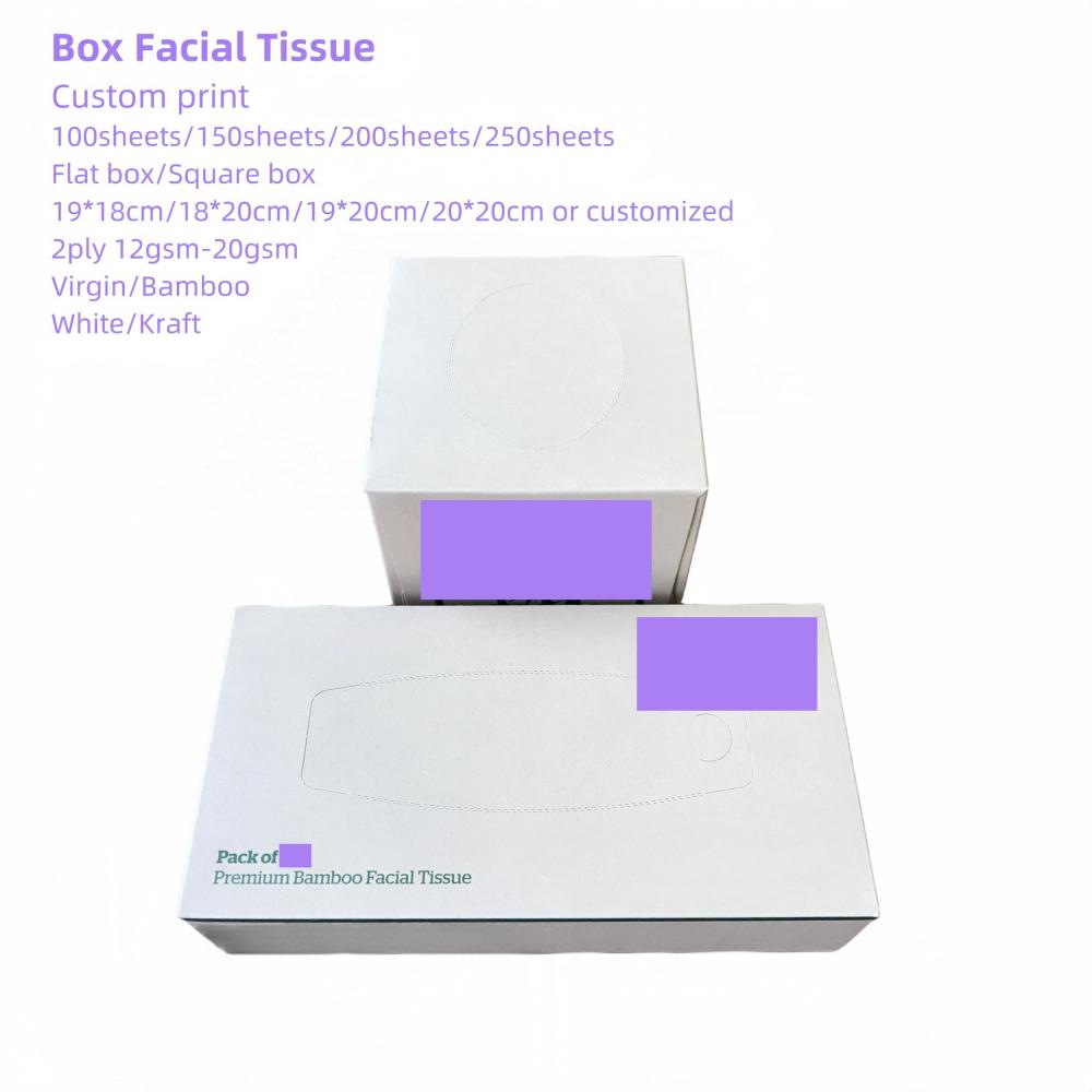 Caja suave y plana personal personalizada tejido facial 2ply 100 tirones