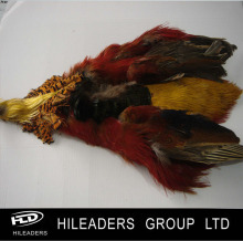 Wholesale Golden Pheasant Skin