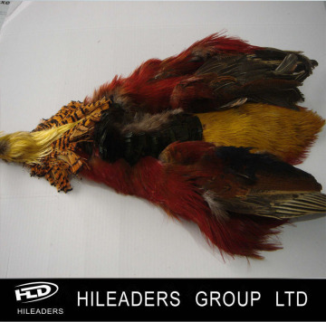Wholesale Golden Pheasant Skin