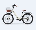 Lady Electric Bike 2 -Sitzer