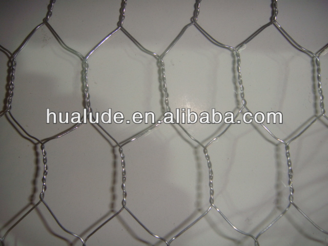 galvanized welded wire mesh