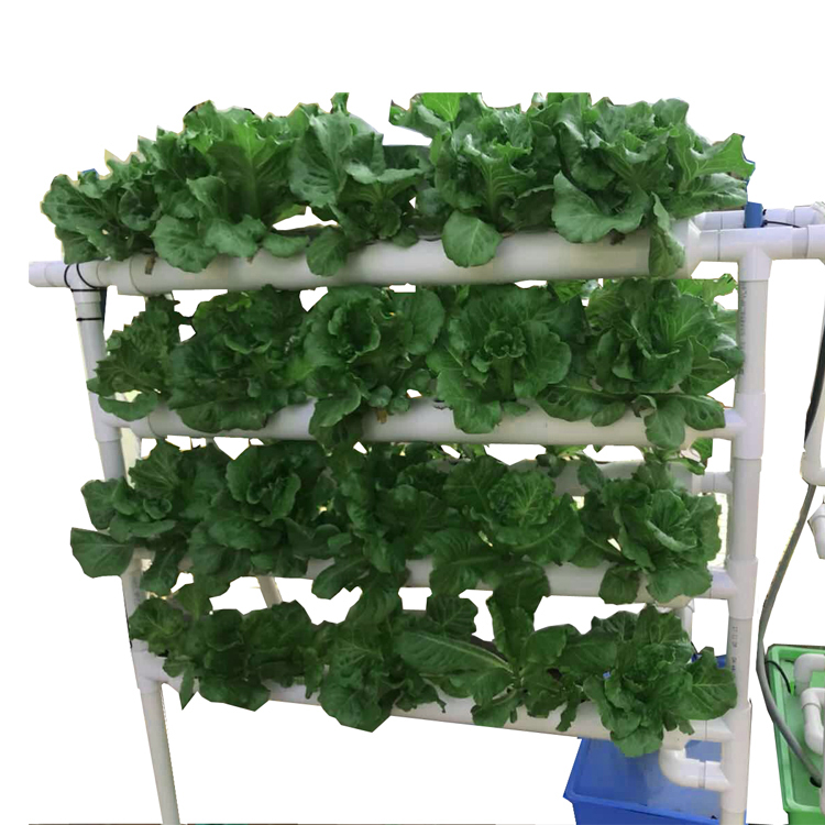 12 pipe hydroponics